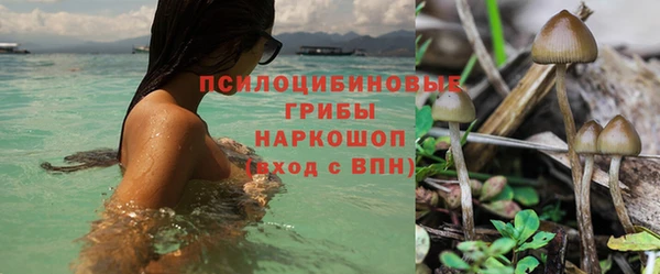 экстази Алексин